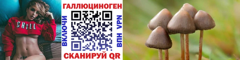 Псилоцибиновые грибы Cubensis  Пласт 